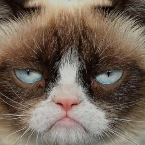 สมาชิกหมายเลข 8101799