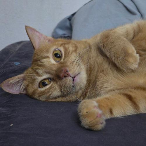 สมาชิกหมายเลข 2363195