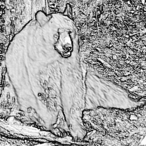 สมาชิกหมายเลข 4051139