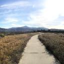 สมาชิกหมายเลข 4296932