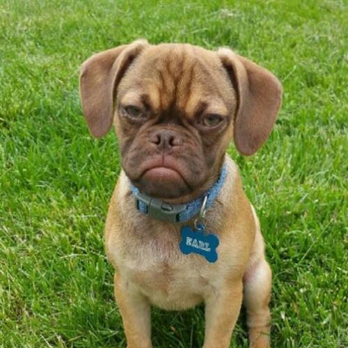 สมาชิกหมายเลข 4675319