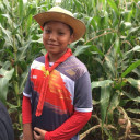 สมาชิกหมายเลข 5039325