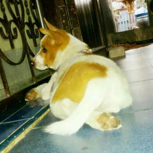 สมาชิกหมายเลข 3548091