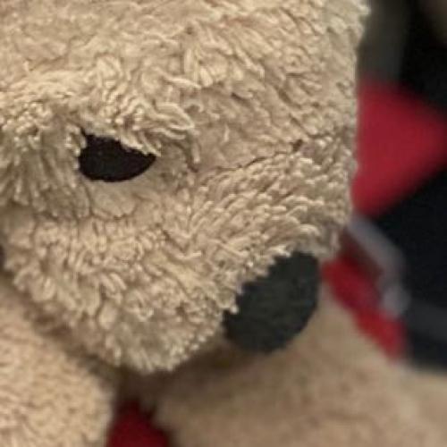 สมาชิกหมายเลข 5744917