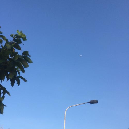 สมาชิกหมายเลข 5915215