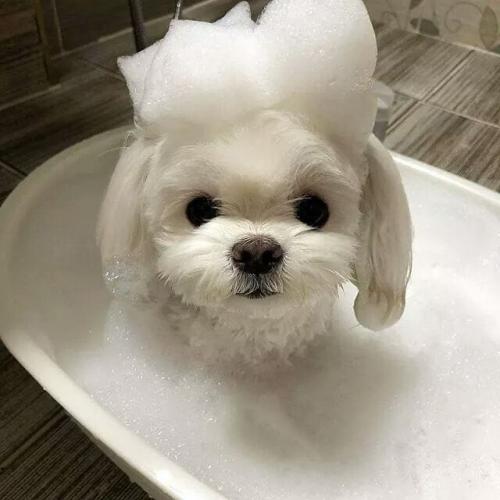 สมาชิกหมายเลข 6552911