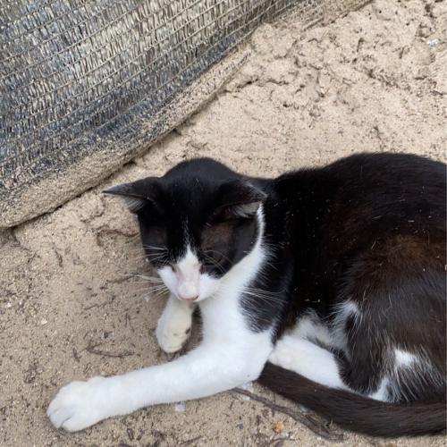 สมาชิกหมายเลข 6552942