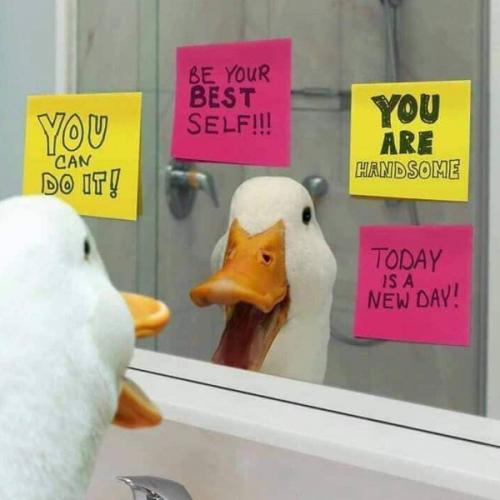 สมาชิกหมายเลข 2721678