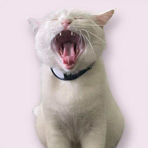 สมาชิกหมายเลข 6502881