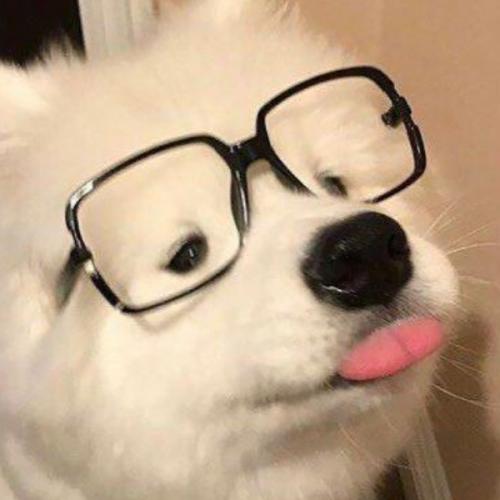 สมาชิกหมายเลข 7277984