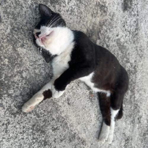 สมาชิกหมายเลข 3978479