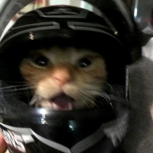 สมาชิกหมายเลข 8058754