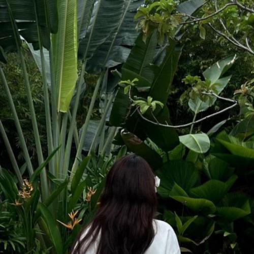 สมาชิกหมายเลข 8896630