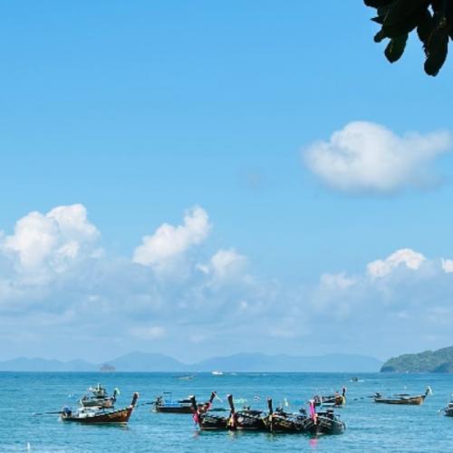 สมาชิกหมายเลข 9116884