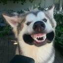 dekdeebuu