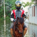 สมาชิกหมายเลข 4297396