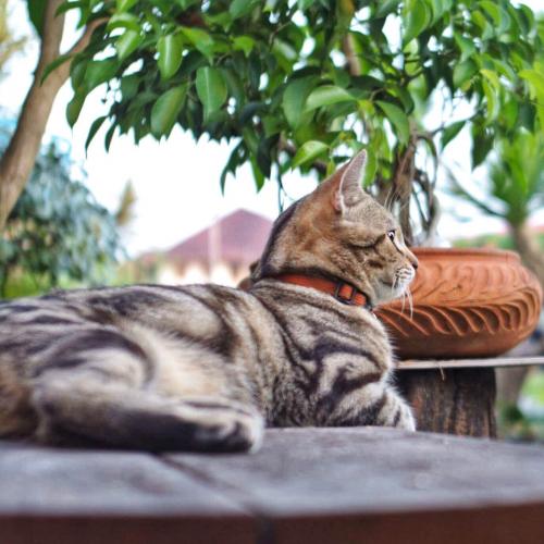 สมาชิกหมายเลข 4297415