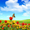 สมาชิกหมายเลข 2259255