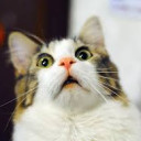 สมาชิกหมายเลข 4675630