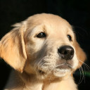 สมาชิกหมายเลข 4675787