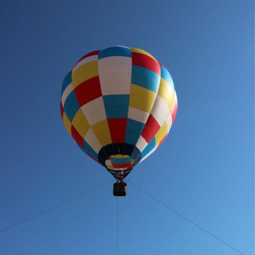 สมาชิกหมายเลข 5430692