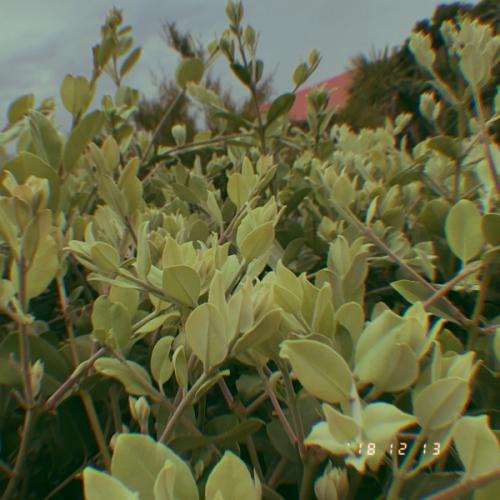 สมาชิกหมายเลข 5432112