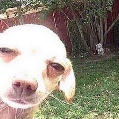 สมาชิกหมายเลข 5432144