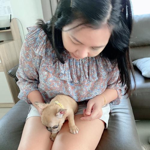 สมาชิกหมายเลข 1219802