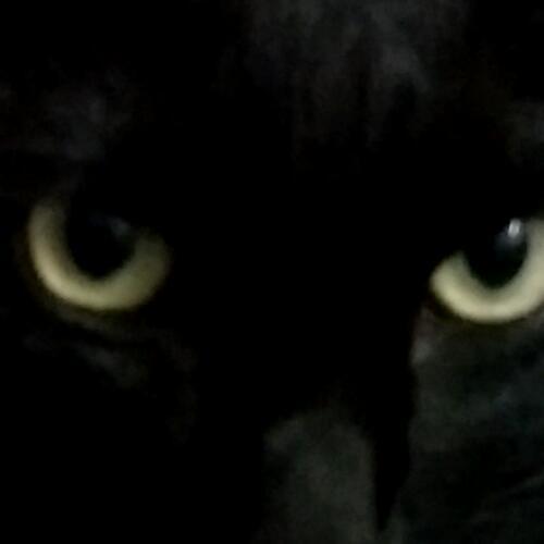 สมาชิกหมายเลข 5898750