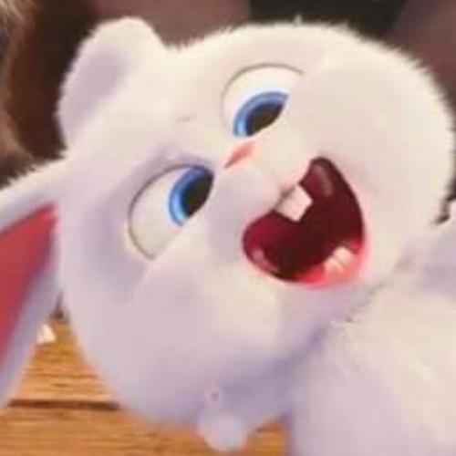 สมาชิกหมายเลข 5948816