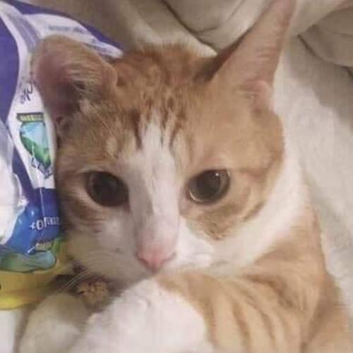 สมาชิกหมายเลข 5948905