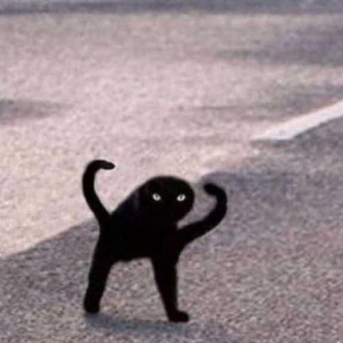 สมาชิกหมายเลข 6416831