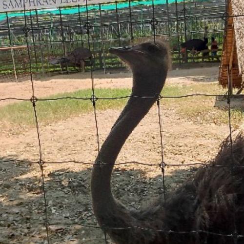 สมาชิกหมายเลข 2194044