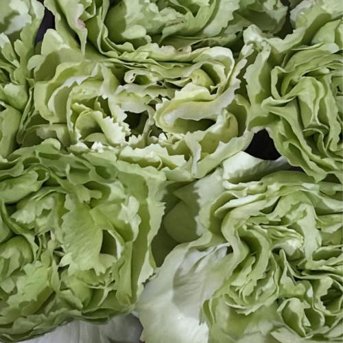 สมาชิกหมายเลข 7893430