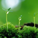 สมาชิกหมายเลข 3831140