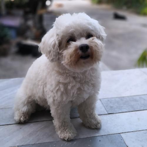 สมาชิกหมายเลข 1252560