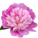 สมาชิกหมายเลข 5402810