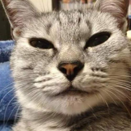 สมาชิกหมายเลข 2777266