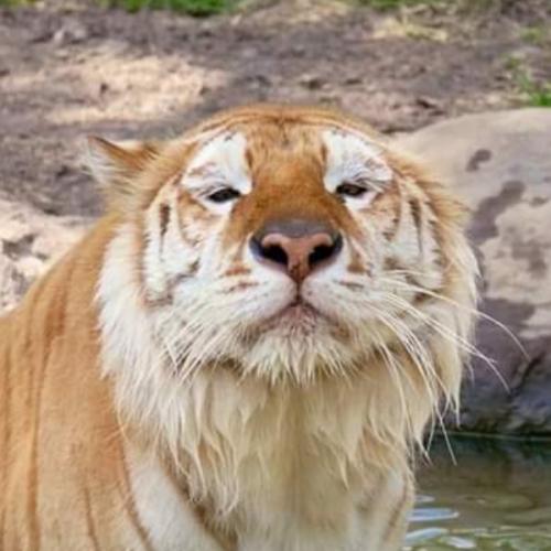 สมาชิกหมายเลข 5948938