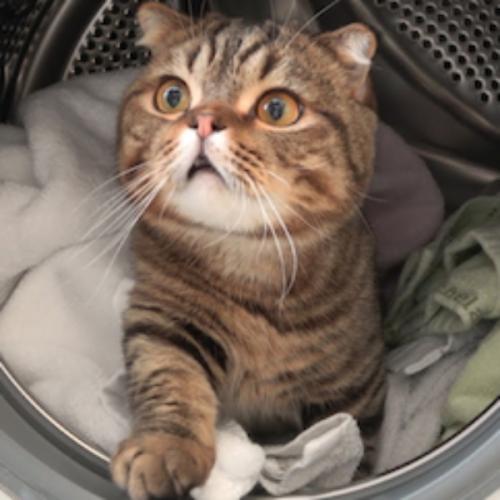 สมาชิกหมายเลข 5949221