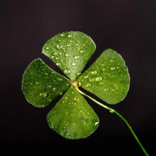 สมาชิกหมายเลข 3714842