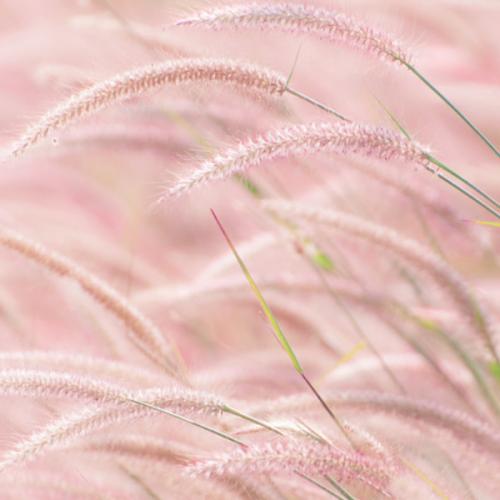 สมาชิกหมายเลข 6554425