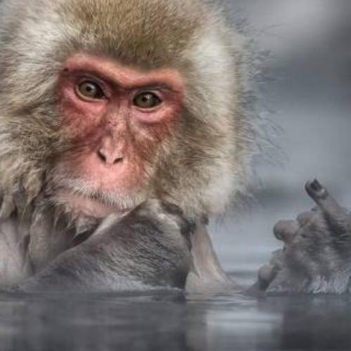 สมาชิกหมายเลข 5996344