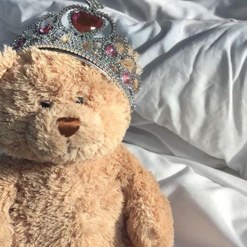 สมาชิกหมายเลข 7162115