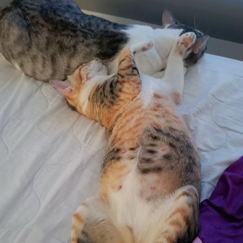 สมาชิกหมายเลข 7278201