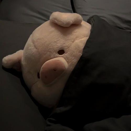 สมาชิกหมายเลข 6931702