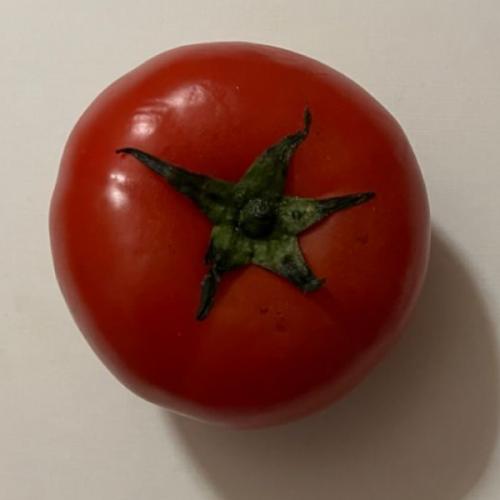 สมาชิกหมายเลข 7224664