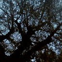 สมาชิกหมายเลข 3831023