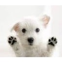 สมาชิกหมายเลข 3831382