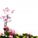 สมาชิกหมายเลข 5040639